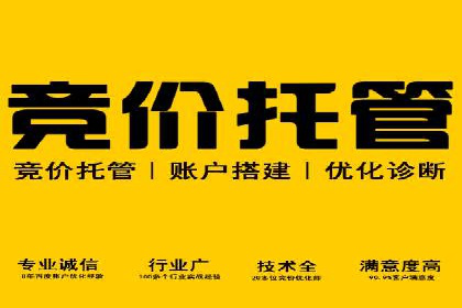 深度报告：专业SEM托管在各行业的成功应用